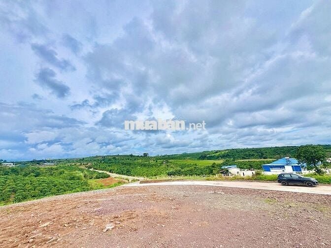 Đất nghĩ dưỡng 1000m2 sổ sẵn thổ cư giá chỉ 630 triệu ven Đà Lạt