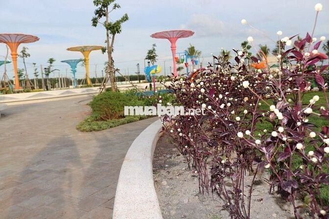 80 m² Phúc Hưng Golden – Đầu tư an toàn, sinh lời bền vững