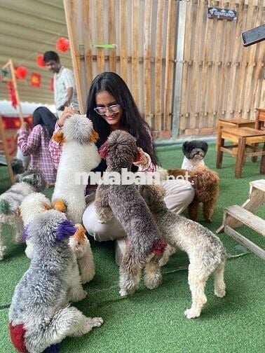 Sang quán Cafe thư cưng hot tại Cần Thơ