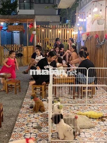 Sang quán Cafe thư cưng hot tại Cần Thơ