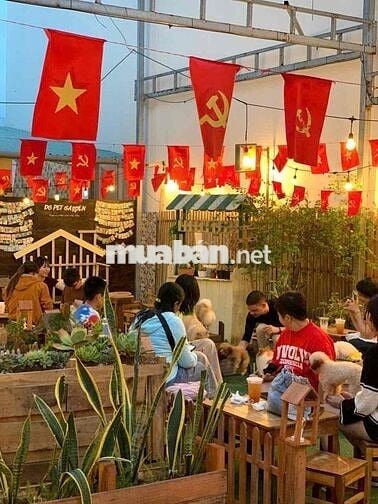 Sang quán Cafe thư cưng hot tại Cần Thơ