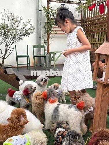 Sang quán Cafe thư cưng hot tại Cần Thơ