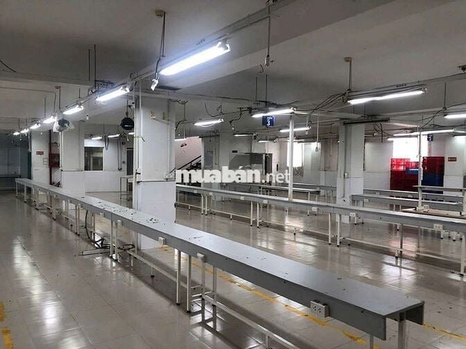 Xưởng cho thuê Thới An quận 12 có pccc