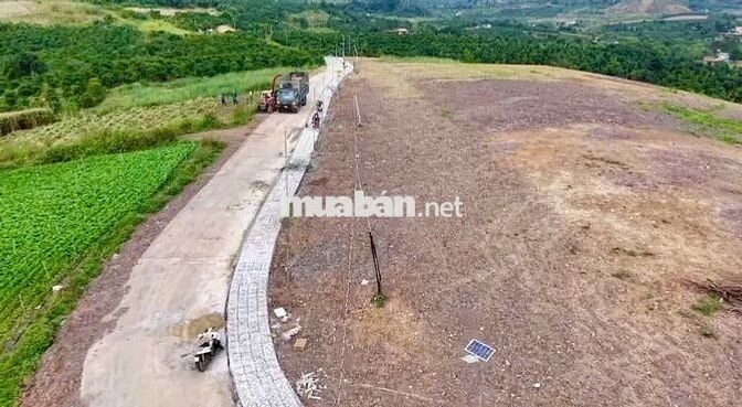 ĐẤT NỀN LÂM ĐỒNG VIEW ĐỒI GIÁP NHỰA – 1.000m² CHỈ 630 TRIỆU!