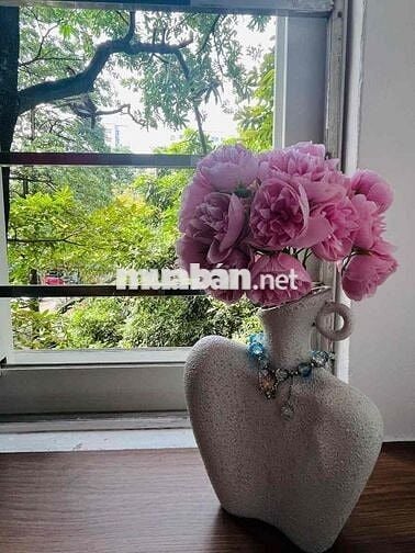 2.19 Tỷ Có Ngay Căn CCMN 55m2 Cạnh Ngã Tư Sở