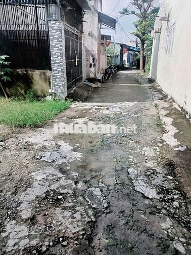 Bán đất phân lô 8x26m có 160m thổ cư 2ty4 phường Thái Hòa Tân Uyên