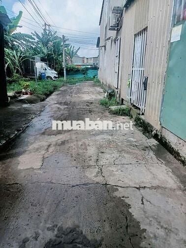 Bán đất phân lô 8x26m có 160m thổ cư 2ty4 phường Thái Hòa Tân Uyên