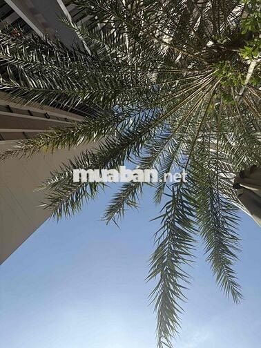 CHO THUÊ CĂN 2PN – OPAL SKYLINE, 11B NGUYỄN VĂN TIẾT (LÁI THIÊU) – 5,5