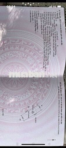 Bán đất phân lô 8x26m có 160m thổ cư 2ty4 phường Thái Hòa Tân Uyên