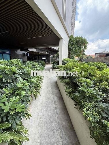 CHO THUÊ CĂN 2PN – OPAL SKYLINE, 11B NGUYỄN VĂN TIẾT (LÁI THIÊU) – 5,5