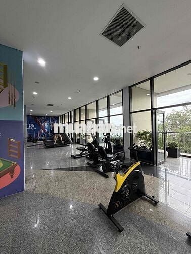 CHO THUÊ CĂN 2PN – OPAL SKYLINE, 11B NGUYỄN VĂN TIẾT (LÁI THIÊU) – 5,5