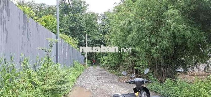 ĐẤT 155M² ĐƯỜNG ĐT 743A GẦN MỸ PHƯỚC TÂN VẠN – CHỈ 2.7 TỶ TL 🌿