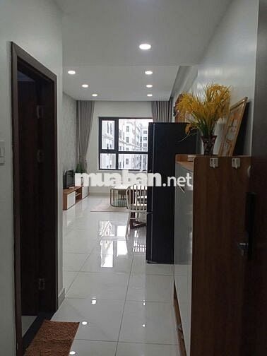 Cho thuê căn hộ quận 8 green river căn 2pn 2wc full nội thất, 10-11 ở.