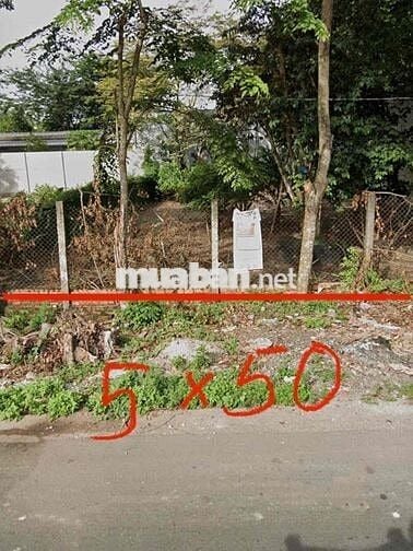 BÁN ĐẤT THỔ CƯ 300m2 500TR GIÁ NGỘP TRẢ THẲNG BAO SANG SỔ RIÊNG