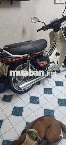 Dream  thái  đời 1998 4 số MUA MỚI CHÍNH CHỦ