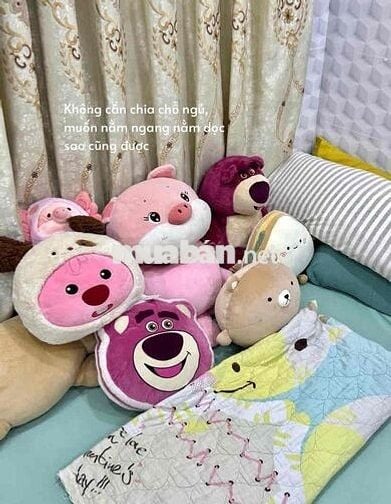 Pov: Những lí do tại sao khách sẽ nhờ Teddy tư vấn căn hộ từ 5tr