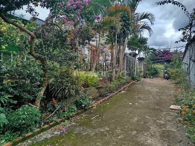 BÁN ĐẤT 60M NGANG VIEW HỒ MẶT TIỀN QL 28, P.BẮC GIA NGHĨA, LÂM ĐỒNG