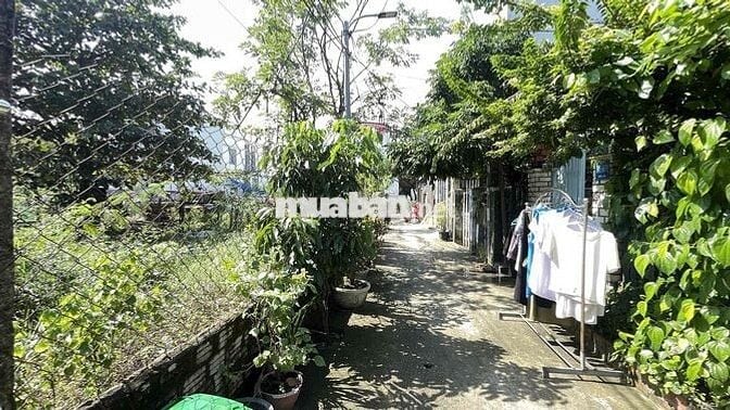 Đất Sổ Đỏ 81,1m2, 45/86 đường K20, P. Ngũ Hành Sơn.