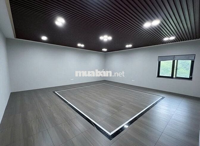 Cho thuê nhà Mới khu sầm uất 343/10B Phan Xích Long, PN Ngang 9m