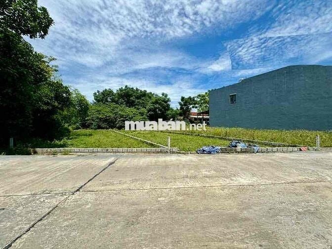 Siêu Phẩm Nhà Vườn 163m2 ngang 7 - Hoà Xuân