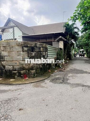 BÁN ĐẤT ĐƯỜNG SỐ 8, LINH XUÂN,  ĐƯỜNG NHỰA 4.5M – 56.5M² (4.55 x 12.41