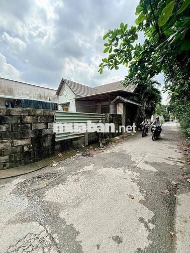 BÁN ĐẤT ĐƯỜNG SỐ 8, LINH XUÂN,  ĐƯỜNG NHỰA 4.5M – 56.5M² (4.55 x 12.41