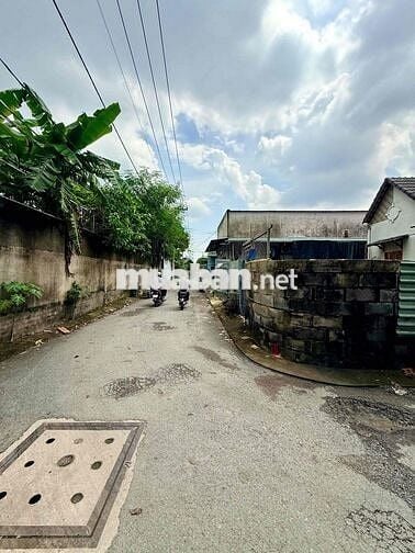 BÁN ĐẤT ĐƯỜNG SỐ 8, LINH XUÂN,  ĐƯỜNG NHỰA 4.5M – 56.5M² (4.55 x 12.41