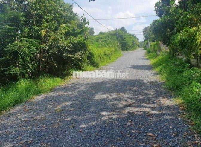 Đất 709m2 ngay Thạnh Đức, Gò Dầu, SHR, khu dân cư hiện hữu, giá 890tr.