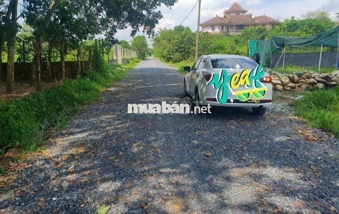 Đất 709m2 ngay Thạnh Đức, Gò Dầu, SHR, khu dân cư hiện hữu, giá 890tr.