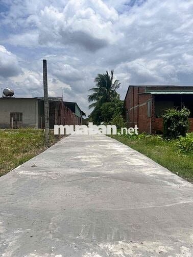 Chỉ 280tr  Đất thổ cư Đường Bê Tông gần KCN Hiệp Thạnh Gò Dầu Tây Ninh