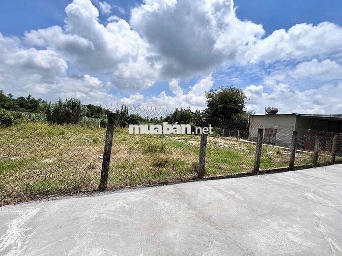 Chỉ 280tr  Đất thổ cư Đường Bê Tông gần KCN Hiệp Thạnh Gò Dầu Tây Ninh