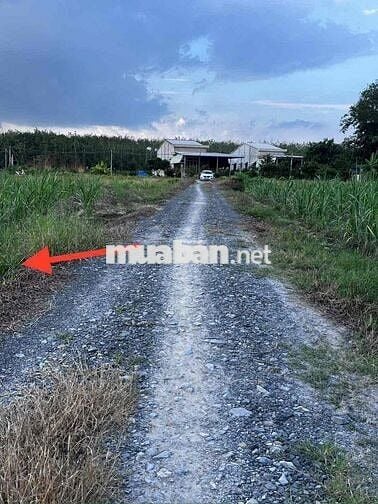 654,5m2 Đất gần KCN Hiệp Thạnh Gò Dầu chỉ 700tr