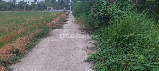 Cần bán đất thổ cư, liên hệ ông Trân. 0949.322.631