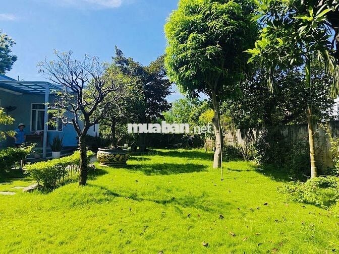 KHUÔN VIÊN NGHỈ DƯỠNG 880M2 ĐỦ TIỆN NGHI