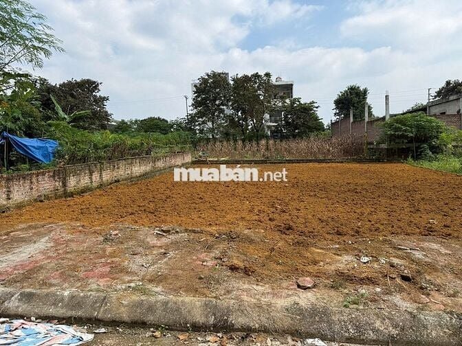 TĐC VAI RÉO 200M2 FULL ĐẤT Ở, MT 10M