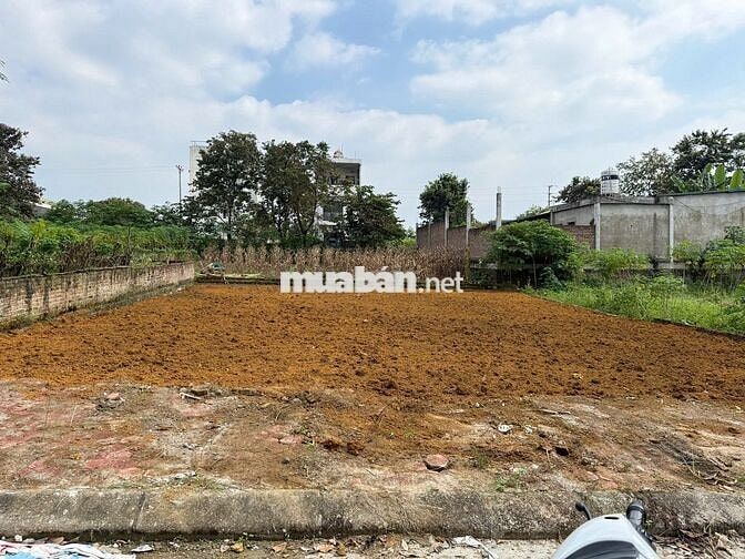 TĐC VAI RÉO 200M2 FULL ĐẤT Ở, MT 10M