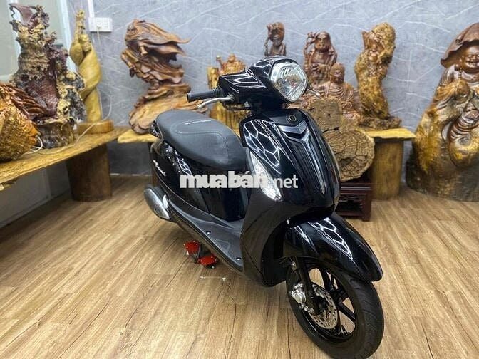 👉Grande 2016 dàn áo cứng cáp, máy bao ê