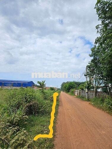 Chủ bán một xẹc quốc lộ 13 , giáp khu CN Bầu Bàng , cách nhựa 100m