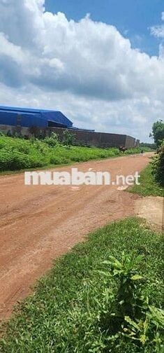 Chủ bán một xẹc quốc lộ 13 , giáp khu CN Bầu Bàng , cách nhựa 100m