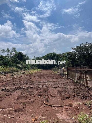 BÁN LÔ ĐẤT TÂM HUYẾT MẶT TIỀN ĐƯỜNG NHỰA A4 THÔN 4 XÃCUÊBUR (CŨ)_TpBM