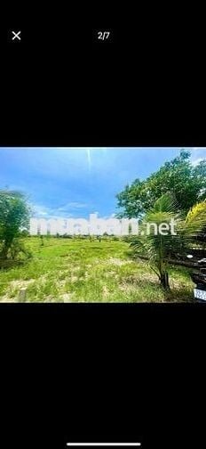 🔥 BÁN ĐẤT VƯỜN 670m² CHỈ 1 TỶ 300 TRIỆU – TT. TRẢNG BÀNG