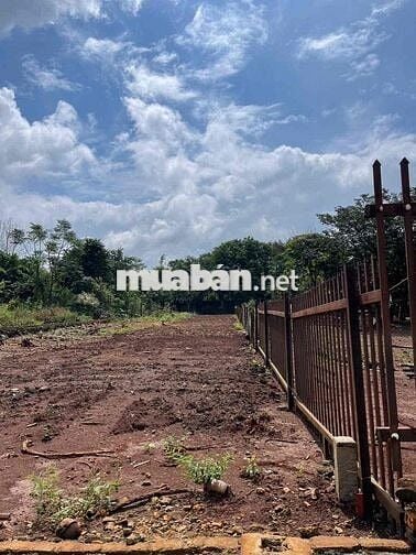 BÁN LÔ ĐẤT TÂM HUYẾT MẶT TIỀN ĐƯỜNG NHỰA A4 THÔN 4 XÃCUÊBUR (CŨ)_TpBM