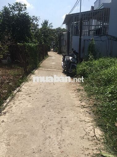 BÁN ĐẤT THỔ CƯ ẤP 4 XÃ MỸ YÊN TỈNH TÂY NINH(TỈNH LONG AN CŨ)