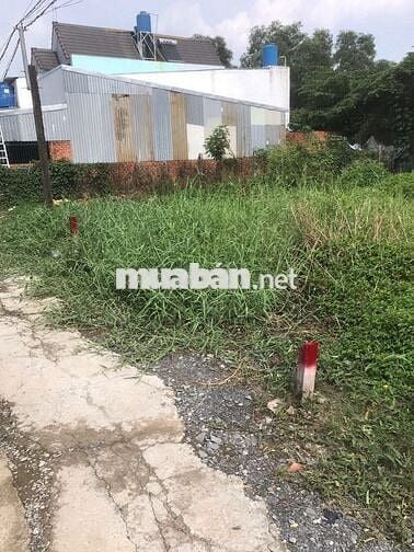 BÁN ĐẤT THỔ CƯ ẤP 4 XÃ MỸ YÊN TỈNH TÂY NINH(TỈNH LONG AN CŨ)