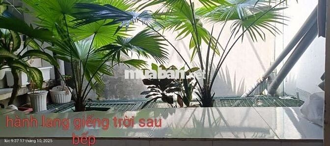 Nhà mới 90%, có thể kèm nội thất, 90m2 lưu thoáng cây xanh