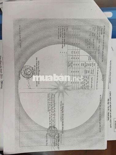 PHƯỚC HẢI CÒN MỘT LÔ ĐẤT LỚN ANH CHỊ LÀM NHÀ VƯỜN , Hôm stay 
 /