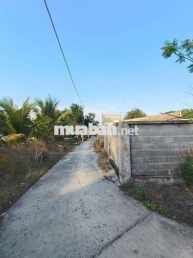 PHƯỚC HẢI CÒN MỘT LÔ ĐẤT LỚN ANH CHỊ LÀM NHÀ VƯỜN , Hôm stay 
 /