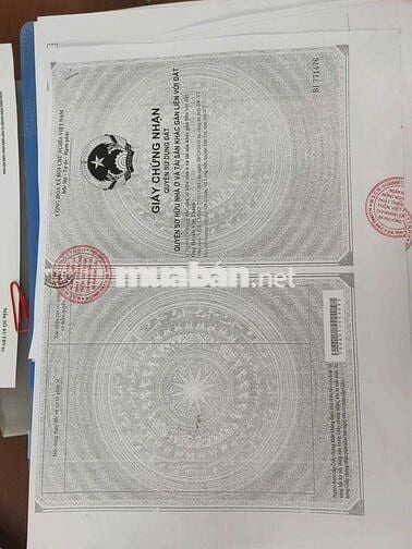 PHƯỚC HẢI CÒN MỘT LÔ ĐẤT LỚN ANH CHỊ LÀM NHÀ VƯỜN , Hôm stay 
 /