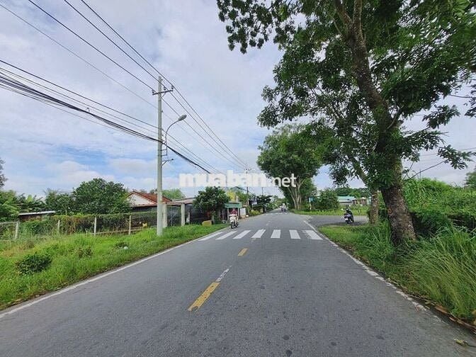 ✅Ngộp: đất MT Cây Trôm Mỹ Khánh 140m², SHR, giá 1.65 tỷ thương lượng