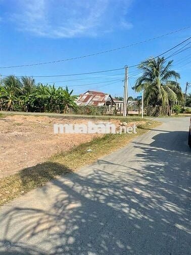 ✅Đất ngộp 1/ Cây Trôm Mỹ Khánh 170m², cách MT 200m, giá 1.78 tỷ TL